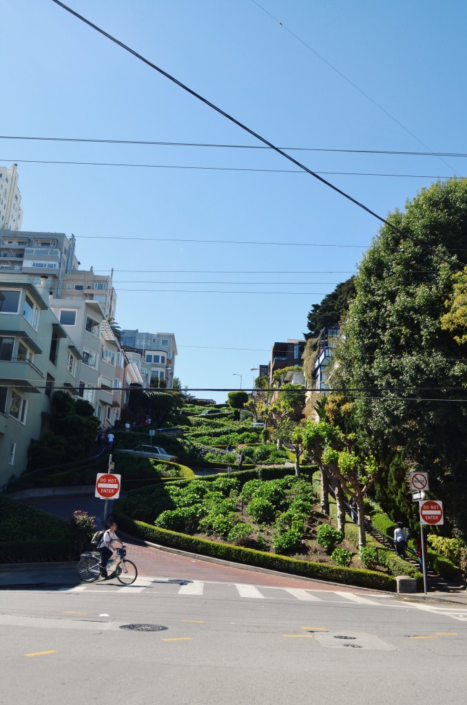 Looking up at the winding road of Lombard Street. Photo by Chloe Valdez