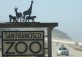 San Francisco Zoo - Aquarium of the Bay thumbnail