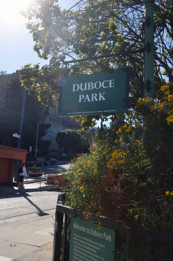 Duboce Park Scott St. @ Duboce Photo by Chloe Valdez 