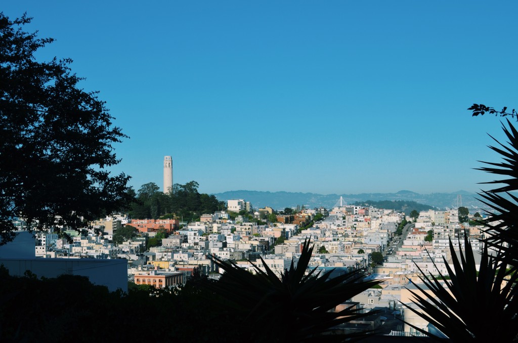 Gorgeous views overlooking The City from Ina Coolbrith Park. Photo by Chloe Valdez