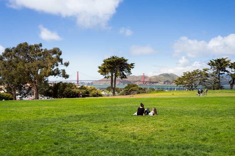 What's Near Marina Cove Apartments? Trinity SF