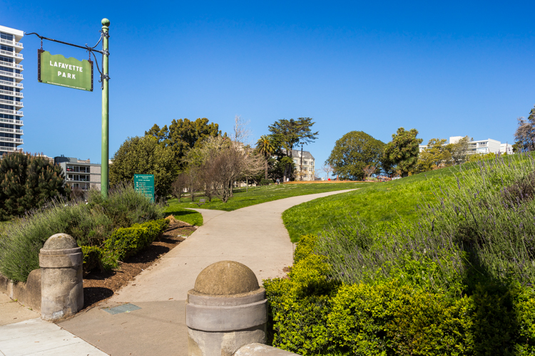 The Best Parks in San Francisco Trinity SF