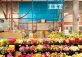 Trinity Whole Foods